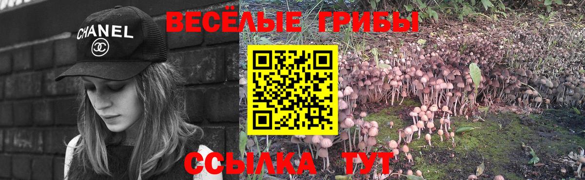 Ярославль  Псилоцибиновые грибы MAGIC MUSHROOMS  Вход с VPN 